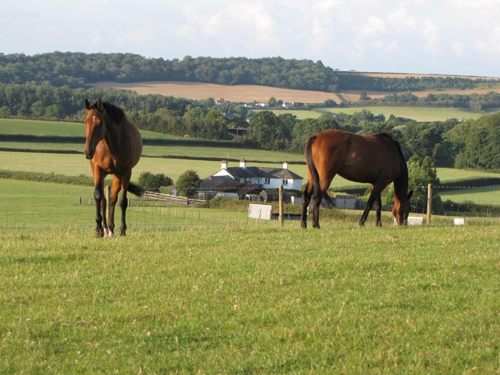 Bournestream Withycombe Exterior foto